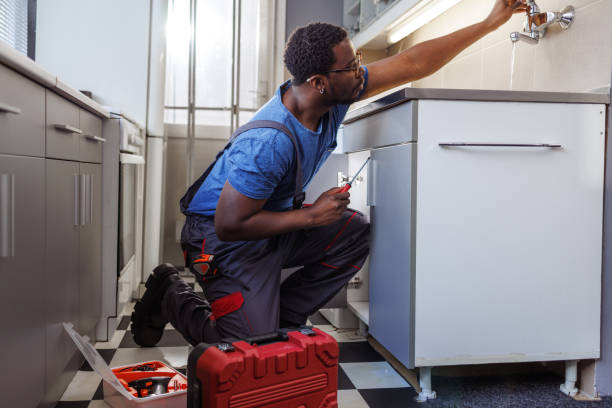 Best Garbage Disposal Repair and Installation  in Dumas, AR